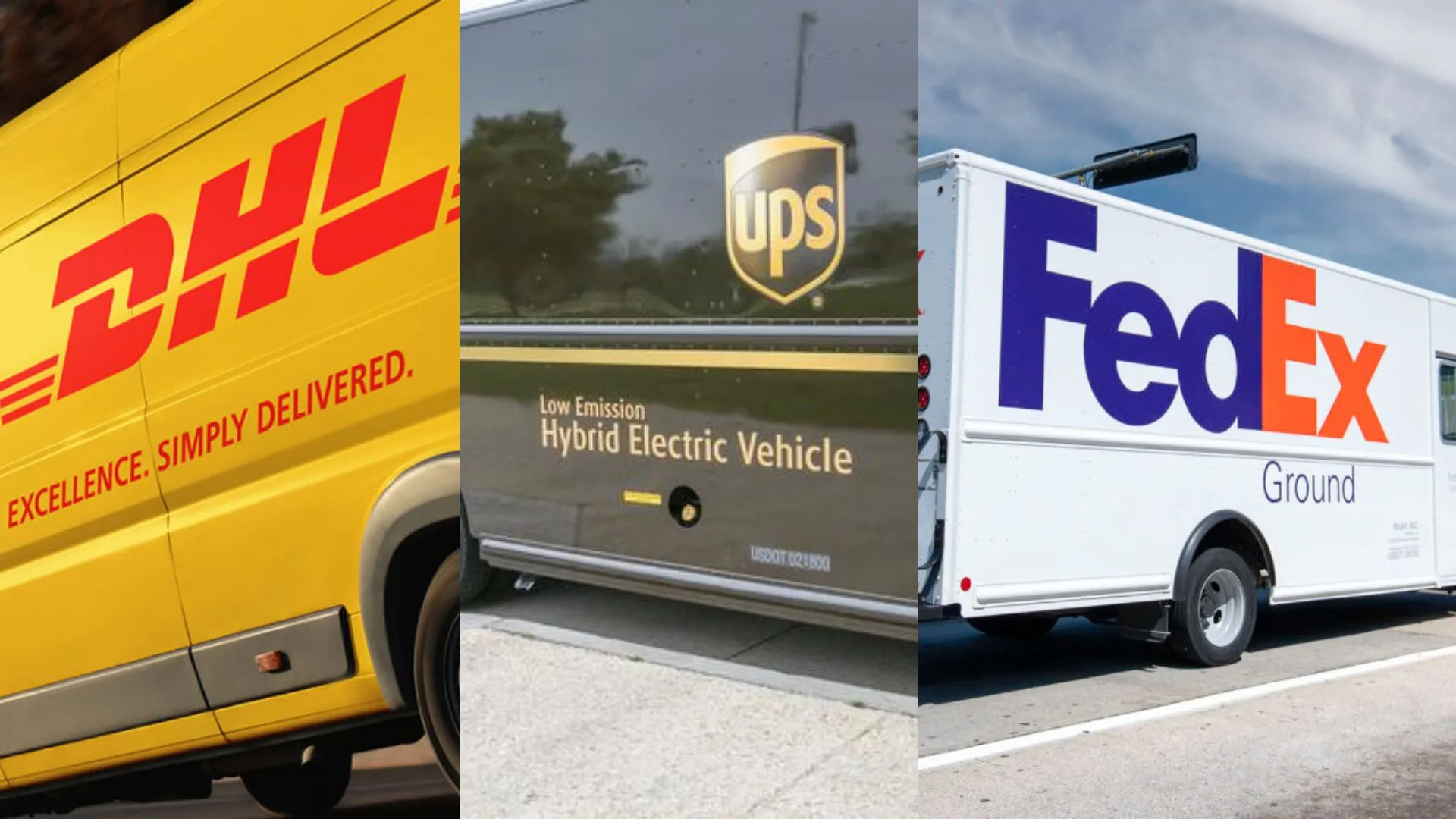 What's the Difference Between DHL UPS and FedEx?