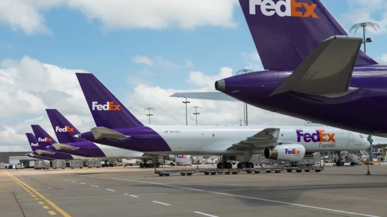 What are FedEx International Priority and International First?